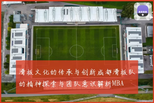 滑板文化的传承与创新成都滑板队的精神探索与团队意识解析MBA