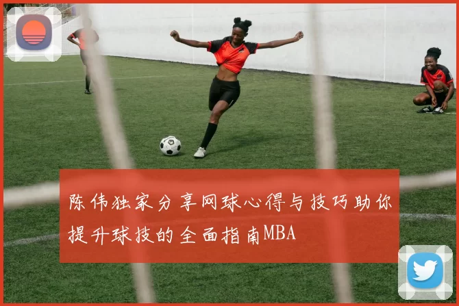陈伟独家分享网球心得与技巧助你提升球技的全面指南MBA