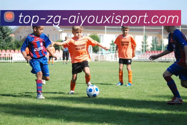 杭州羽毛球队力量表现的数据分析与提升策略探讨MBA